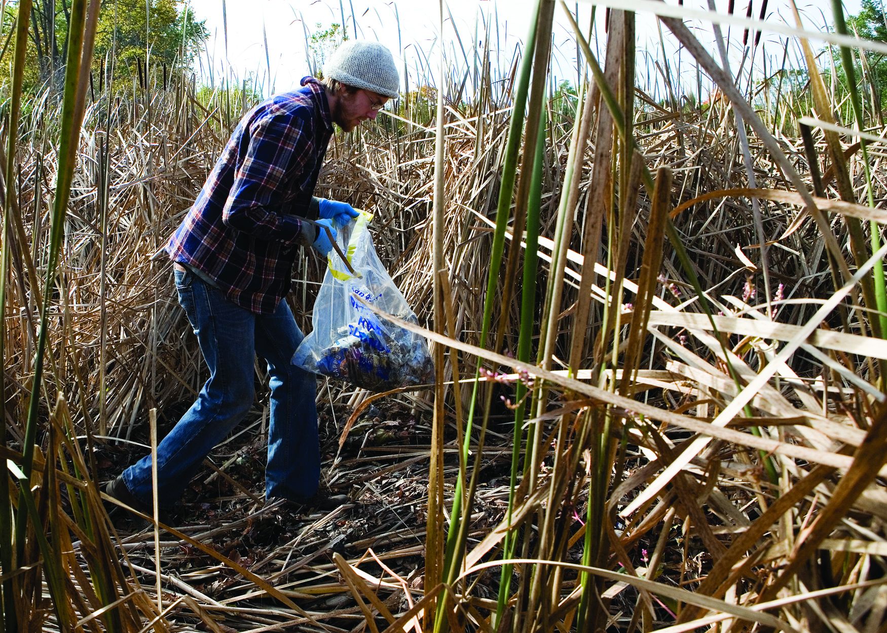 p-capisiccleanup-102109.jpg
