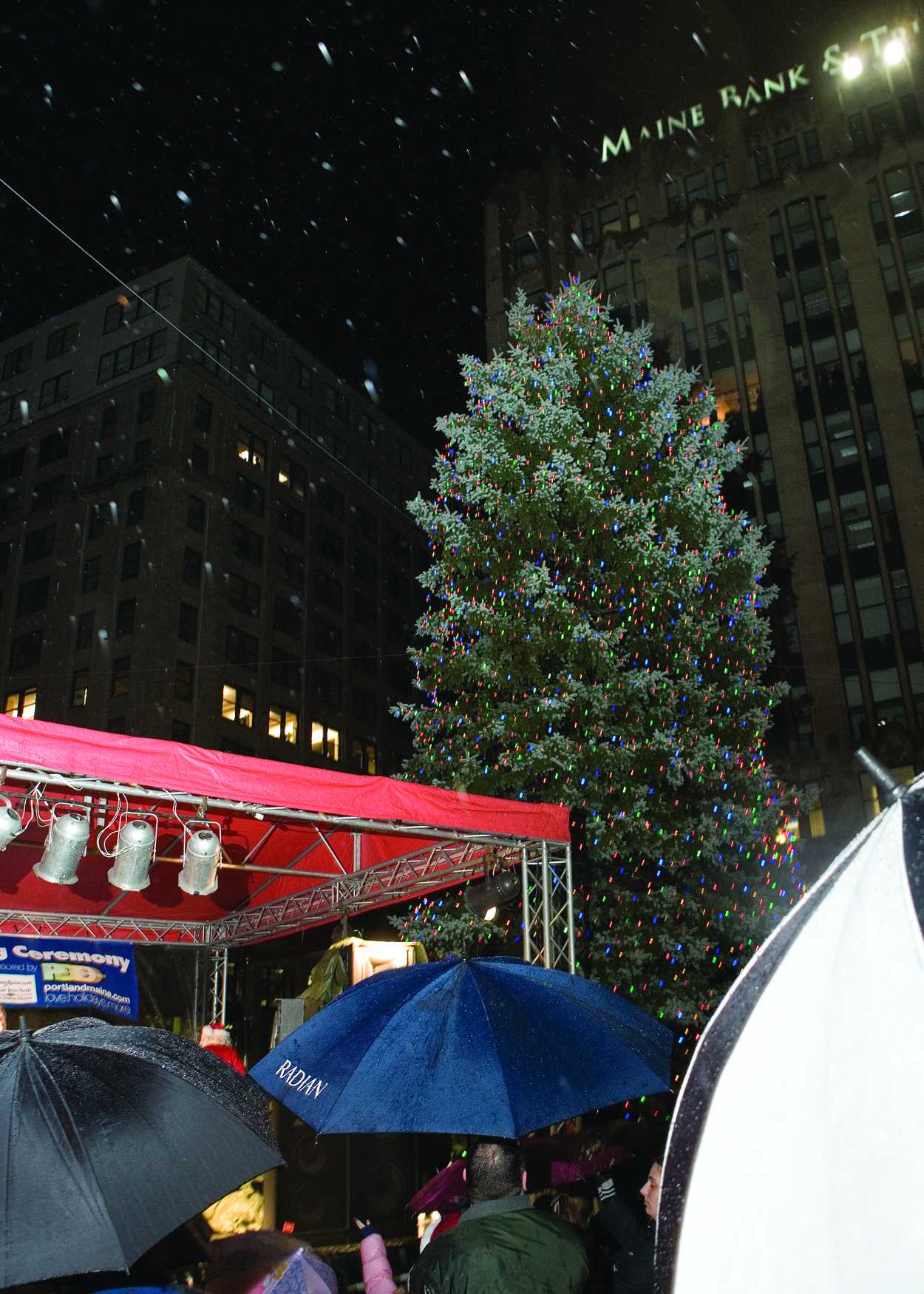 p-treelighting2-120209.jpg