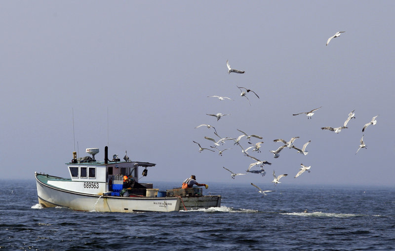 Gulls hound a lobster boat looking for bait scraps off Matinicus Island. Territorial disagreements have been a way of life here for decades.