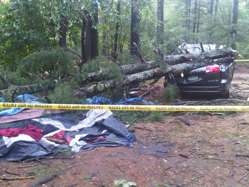 A child was injured when trees were toppled by a sudden storm at the Flat Rock Family Resort on Flat Rock Bridge Road in Lebanon.