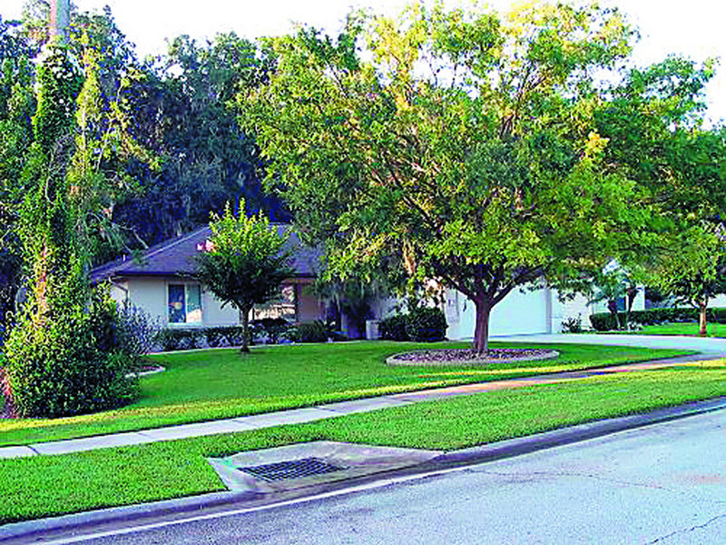 This property at 558 Woodgrove St. in Ormond Beach, Fla., was purchased by Ann LePage, wife of Republican gubernatorial candidate Paul Le Page, in December 2008.