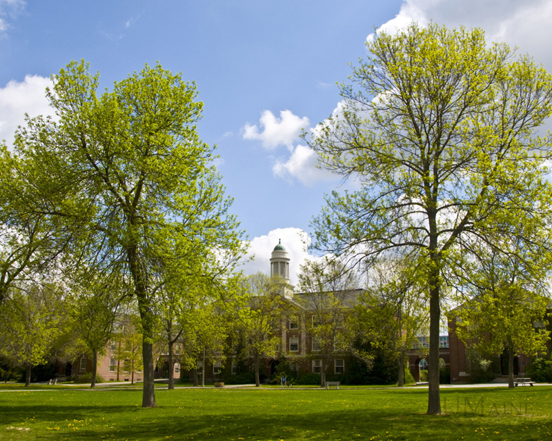 Campus of the University of Maine in Orono. How to integrate higher education with long-term economic development plans is a key challenge for the next governor and should be part of each candidate's platform.