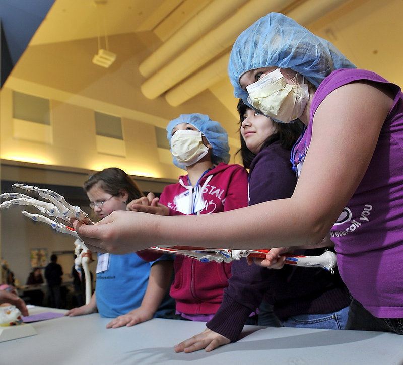 Cassie Doner, 11, inspects the bones of the arm and hand of a skeleton along with other students from Biddeford Intermediate School.