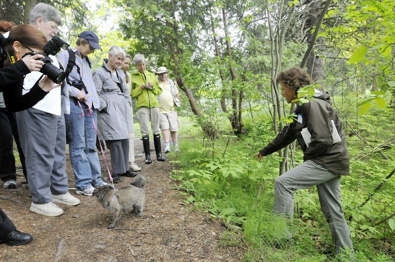 Corinne Martin, right, leads an herb tour at Evergreen Cemetery. Noting the cemetery’s parklike elements, a founding member of Friends of Evergreen said, “You enter this designed landscape, and you are to experience a sense of peacefulness.”