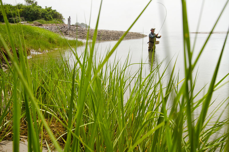 David Quenneville of Huntington, N.Y., casts for striped bass at Timber Point in Biddeford. A coalition of conservation groups hopes to make 97 acres in the area part of the Rachel Carson National Wildlife Refuge.