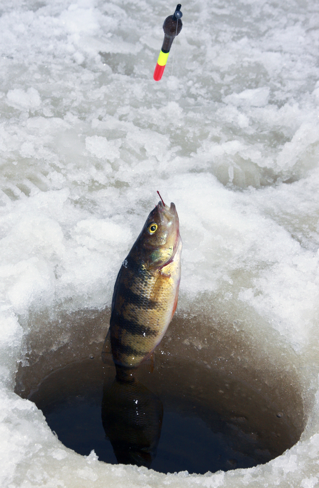 An ice-fishing derby for kids takes place from 8 a.m. to noon Saturday at Range Pond State Park in Poland.