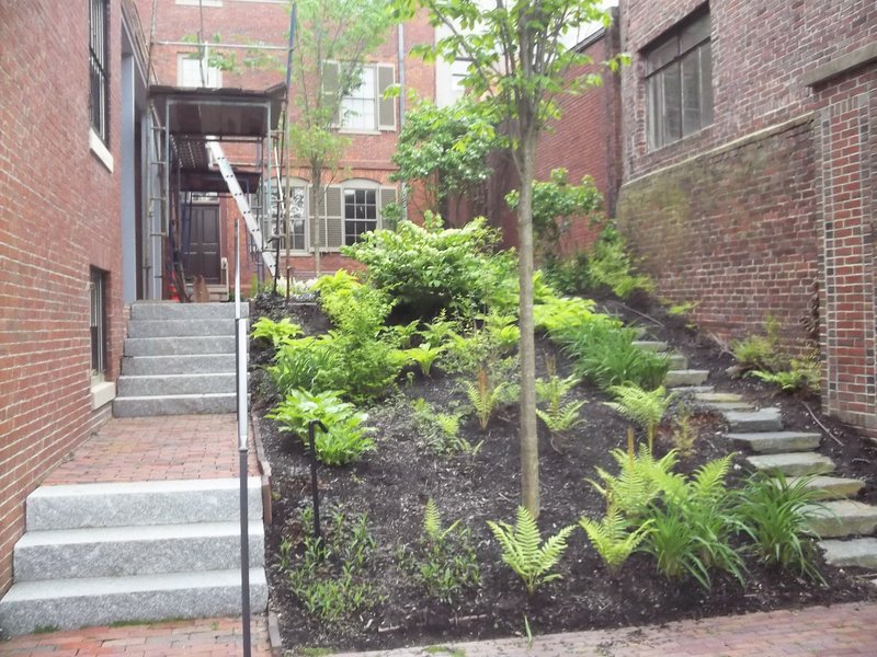 The garden as you look toward the house. The Longfellow Garden Club is hoping to makepeople more aware of the downtown oasis.