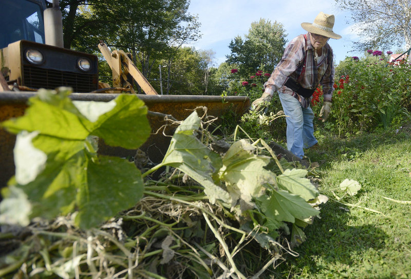 Dave Page cleans up a garden on his 16-acre farm on Upper Guinea Road in Lebanon on Tuesday. He wasn’t wearing insect repellent, but he says he does go in at dusk before most of the mosquitoes come out. Eastern equine encephalitis – a rare but serious viral disease spread by mosquitoes – was confirmed here last week.