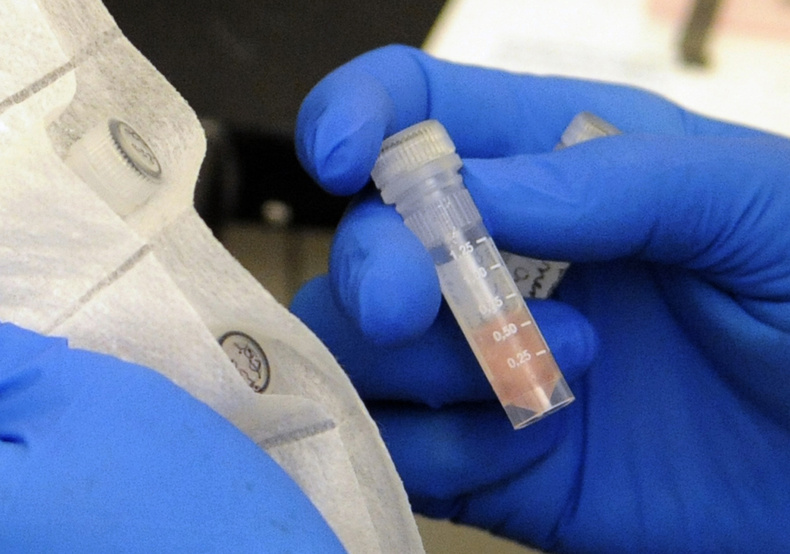 In this Tuesday, Oct. 9, 2012 file photo, laboratory technician Ruth Rutledge packages cerebrospinal fluid of three confirmed meningitis cases in Minn., to send to the Centers for Disease Control and Prevention in Atlanta for further testing, at the Minnesota Department of Health in St. Paul, Minn. The black mold has crept into the spines of hundreds of people who got tainted shots for back pain — killing at least 24 of them. (AP Photo/Hannah Foslien)