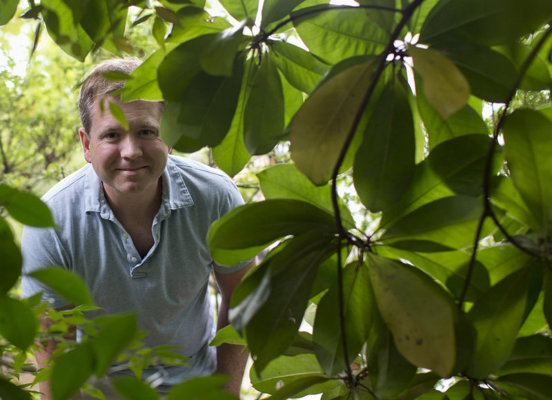 Ryan Miller peers through plants in his Arlington, Va., yard Monday. He has been lobbying his local government to break out the pesticides this year to fight mosquitoes, which can carry lethal diseases.