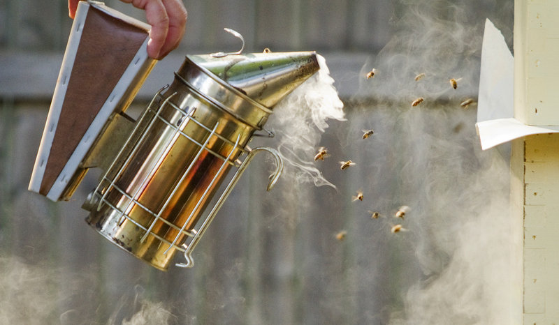 Phil Gaven of The Honey Exchange releases smoke to calm the bees so he can check the honey supply and the health of each hive on Wednesday, August 21, 2013. Bees and beekeepers have been struggling through one of the worst summers for honey production in Maine in recent memory.