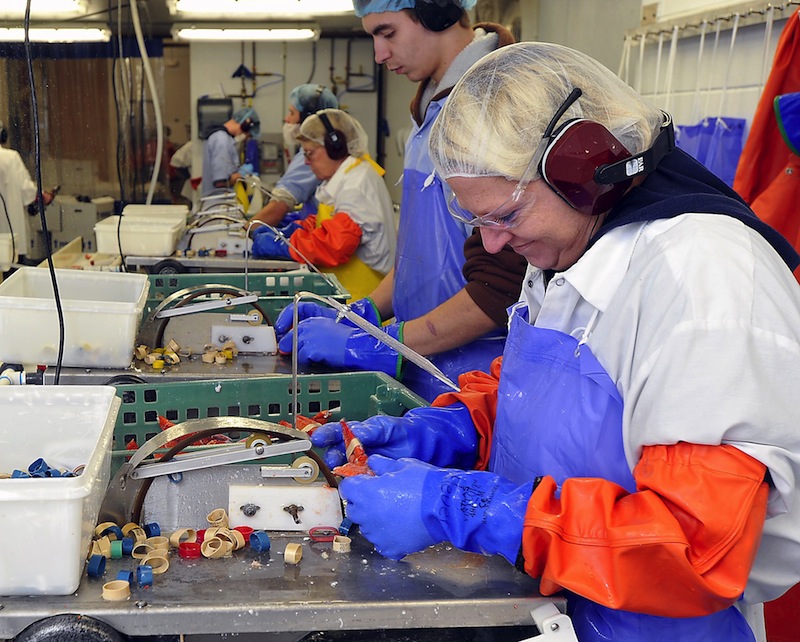 Food safety inspections at Maine’s seafood processing plants are delayed by a few weeks because of the federal government shutdown, state officials said Tuesday, Oct. 15, 2013, and if the shutdown persists, it could cause more severe problems with the annual inspection program. Above, a seafood processing plant in Rockland, Maine in 2010.