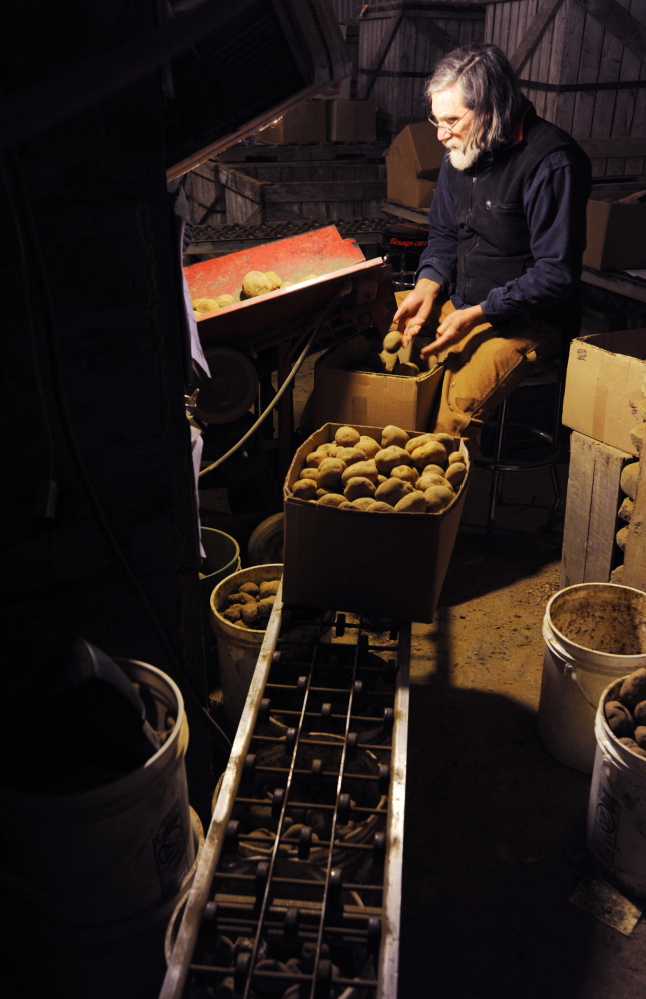 Gerritsen sorts and grades seed potatoes at his farm on Monday. A lawsuit he led against Monsanto brought both victory and defeat. In January 2014, the U.S. Supreme Court declined to hear the group’s appeal asking for pre-emptive protection against Monsanto lawsuits. But in June 2013, a three-judge panel at the Court of Appeals for the Federal Circuit ruled that Monsanto had to stand by assurances that it would not sue where trace amounts, less than 1 percent, of its genetic material could be found on farms that had not paid for the Monsanto seed.