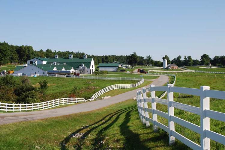 Valley Farm at Pineland Farms