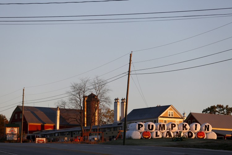 Harvest Hill Farms on Route 126 in Mechanic Falls, shown in 2014, has been sold at auction to buyers from Long Island, New York.