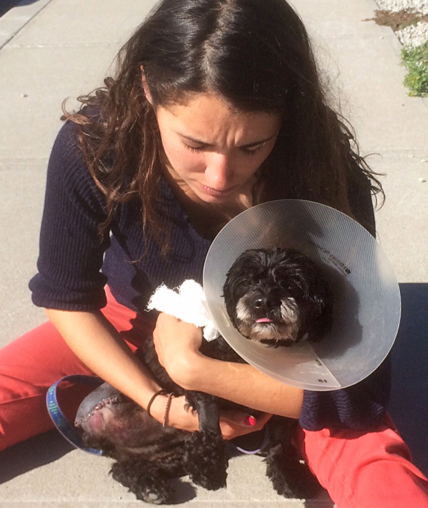 Sally Gardiner-Smith holds her dog Elli in South Weymouth, Mass. “I want to share the lesson I am trying to learn from my little dog. That lesson is to be resilient, unyielding in a desire to live,” Gardiner-Smith said.