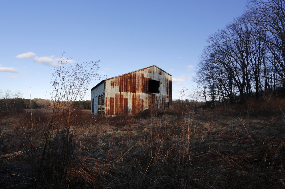 The Benjamin Farm contains the headwaters of the Spurwink River, abuts the Rachel Carson National Wildlife Refuge and is part of a wildlife and wetlands corridor that stretches to the Scarborough Marsh. Derek Davis/Staff Photographer