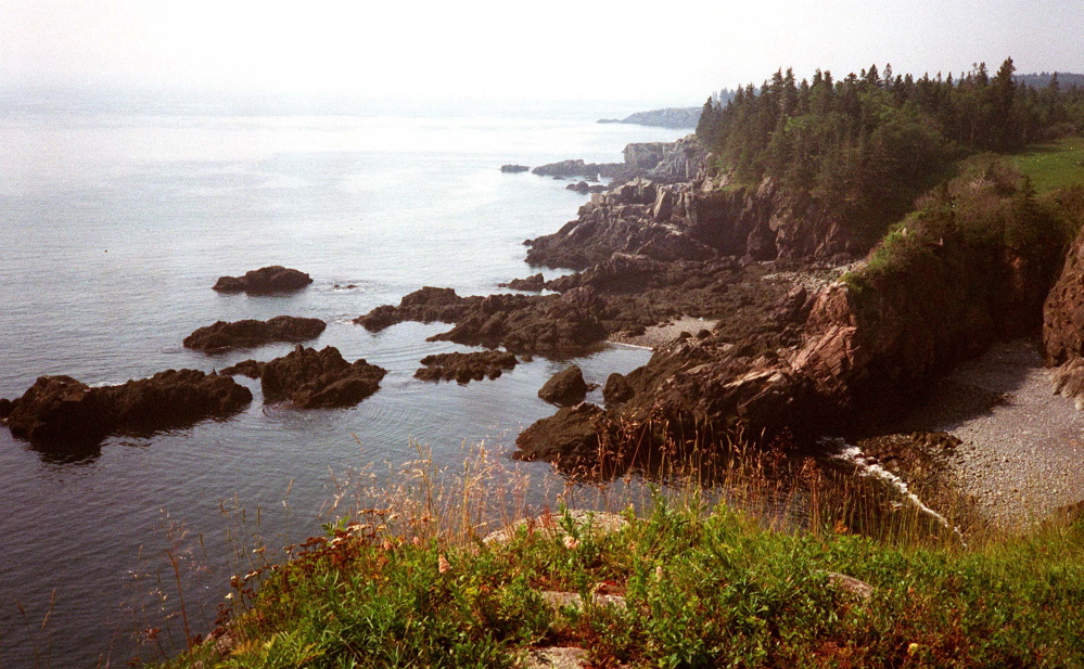 Along with legendary landmarks whose protection made headlines, such as the Cutler Coast, were dozens of smaller gems championed by the Land for Maine’s Future.