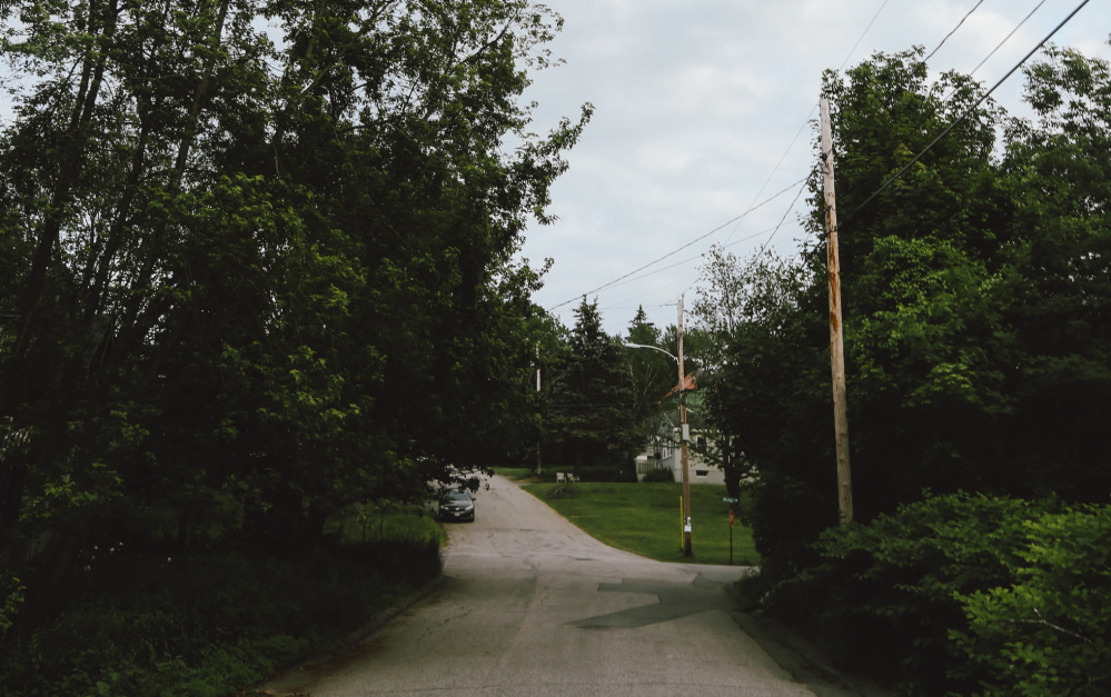 Stephen Dodd, the oldest of four children of Clemson and Patricia Dodd, grew up on Fessenden Avenue in South Portland.