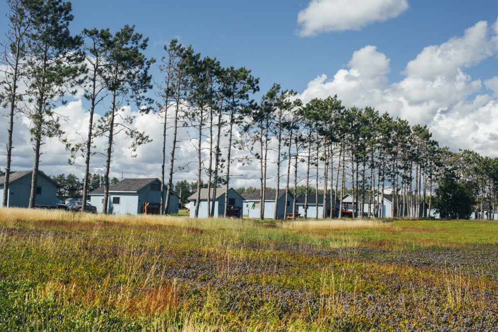 The Harvard report envisions benefits for food producers in all parts of Maine, including those Down East like the Wyman blueberry operation in Harrington, above.