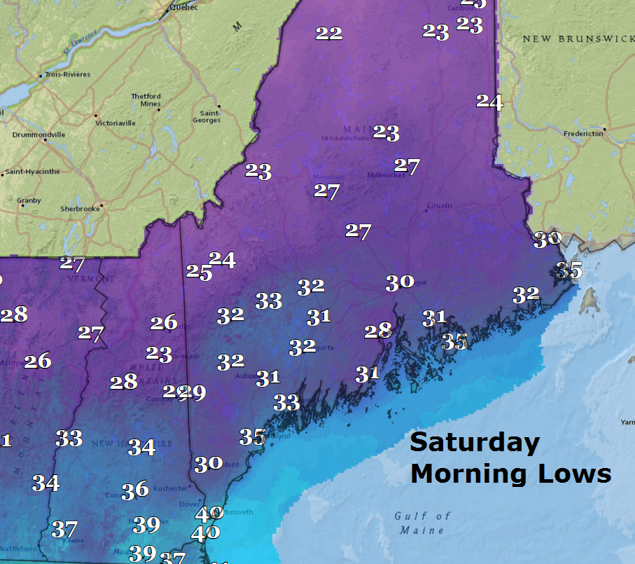 Saturday Morning Lows