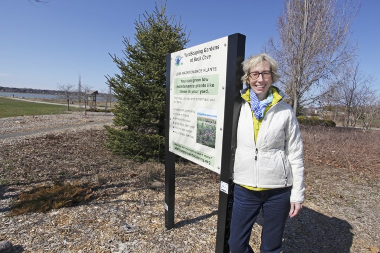 Aurelia Scott by the Portland YardScaping Demonstration Gardens near Back Cove.