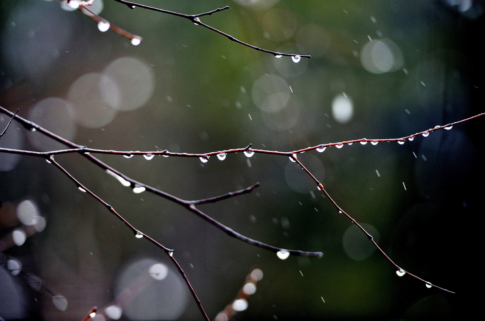 Rain can't be taken for granted, according to climate scientists, who caution that the northeastern U.S. should expect longer dry spells and more frequent heat waves, punctuated by downpours that cause flooding and erosion.