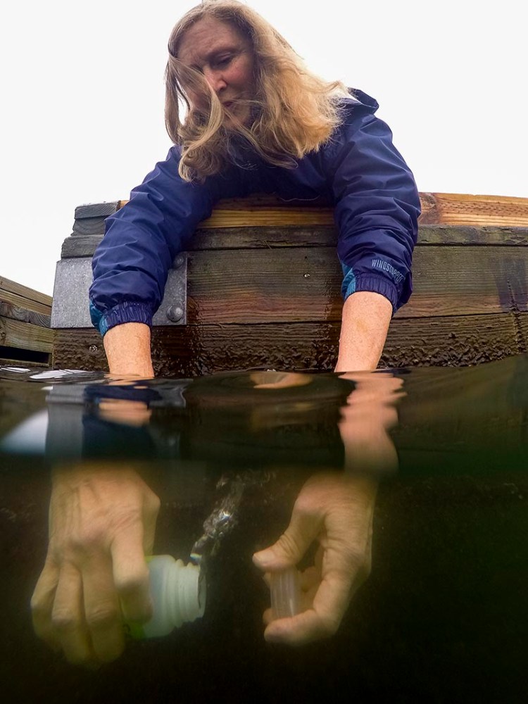 Portland resident Cynthia Handlen, a volunteer for Friends of Casco Bay, takes a water sample from the Fore River at Bug Light Park. 