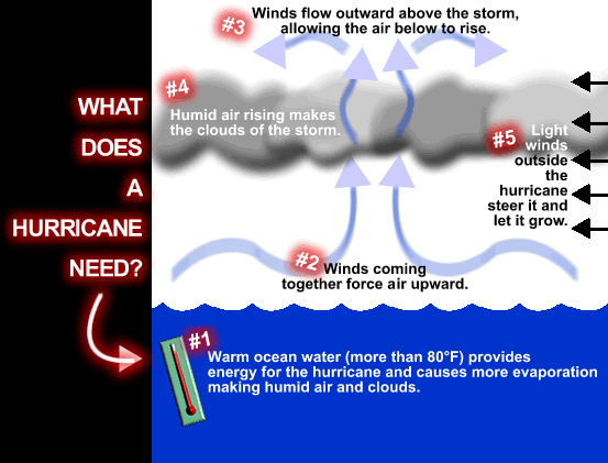 Hurricanes need warm ocean water to form.