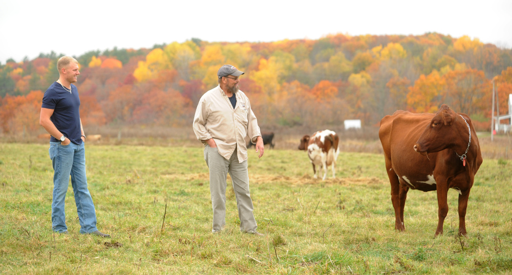 Steve Russell, center, and his son, Barrett, left, check in with the cows at the family's dairy farm in Winslow on Oct. 21. Russell's family farm is one of two applicants for a new program that seeks to keep farms in operation by forgiving property taxes.