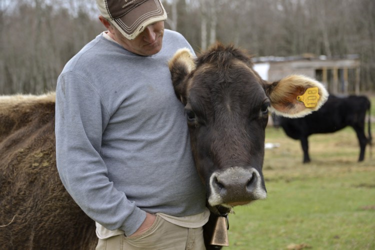 Jerry Ireland at Ireland Hill Farms in Swanville. The former Army sergeant helps struggling veterans trying to start over who might be interested in farming.