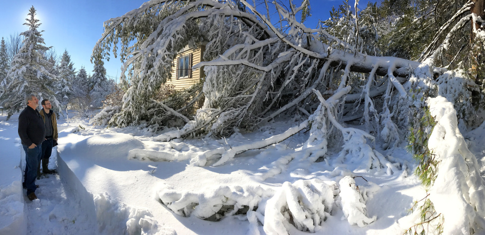 Larry Parlin, left, and his son Paul survey the damage Friday at Paul and Anja Parlin's residence in Sidney, where part of a tree fell overnight.