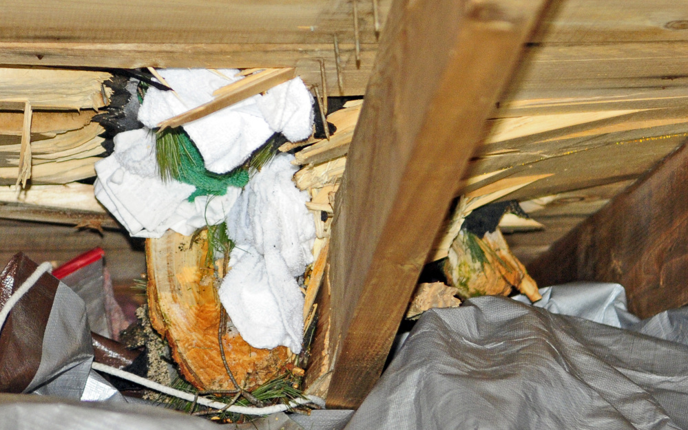 Several branches went through the roof when part of a tree fell onto the house Thursday night at Paul and Anja Parlin's residence in Sidney. The people inside escaped injury.