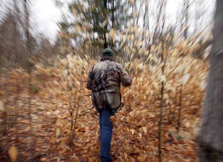 Deanna Page of Dexter has spent a quarter-century scouring the forest floor for moose and deer antlers that were shed over the winter.