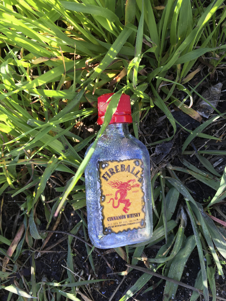 A Press Herald staff member photographed these discarded nips bottles while walking to work in South Portland and Portland. A bill to charge a bottle deposit to reduce litter is the focus of a clash in Augusta.