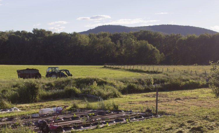 Ken Robbins finishes up work Tuesday evening at River Valley Farm in Canton, which he owns with Carole Robbins, his wife. Carole Robbins said she has heard about the new food sovereignty law, but they plan to keep selling their beef the way they have been, after inspection.