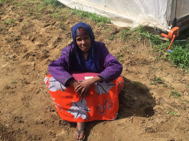 Batula Ismail, a graduate of Cultivating Community’s Farmers in Training program at the Lisbon site, now is one of four producer/owners at New Roots Farm in Lewiston.