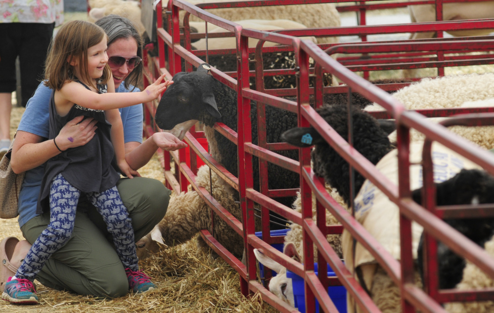 Kinsey Niederer, 5, and her mother, Lissa Niederer of Augusta, feed the sheep Monday at the Windsor Fair. An estimated 28,000 attended Saturday, a record single-day crowd for the fair.