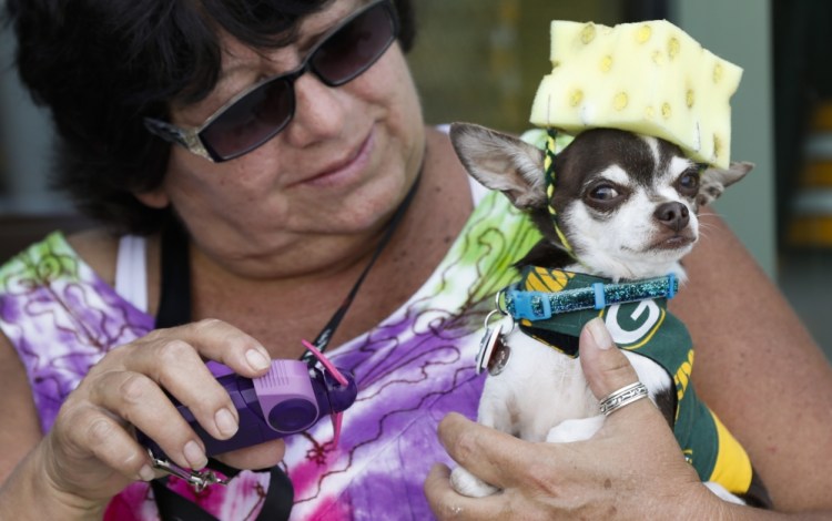 Gloria Baenen brought her dog Vinnie to an area outside Lambeau Field in Wisconsin before the Green Bay Packers game Sunday. Fans who prefer to leave their canines at home could take advantage of apps to order up a dog-walker or pet-sitter, even on short notice.