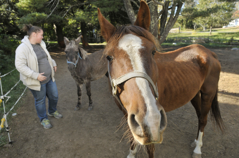 Kelsey Radley with Pocket the mule, center, and Zin the horse on Friday in Pittston.