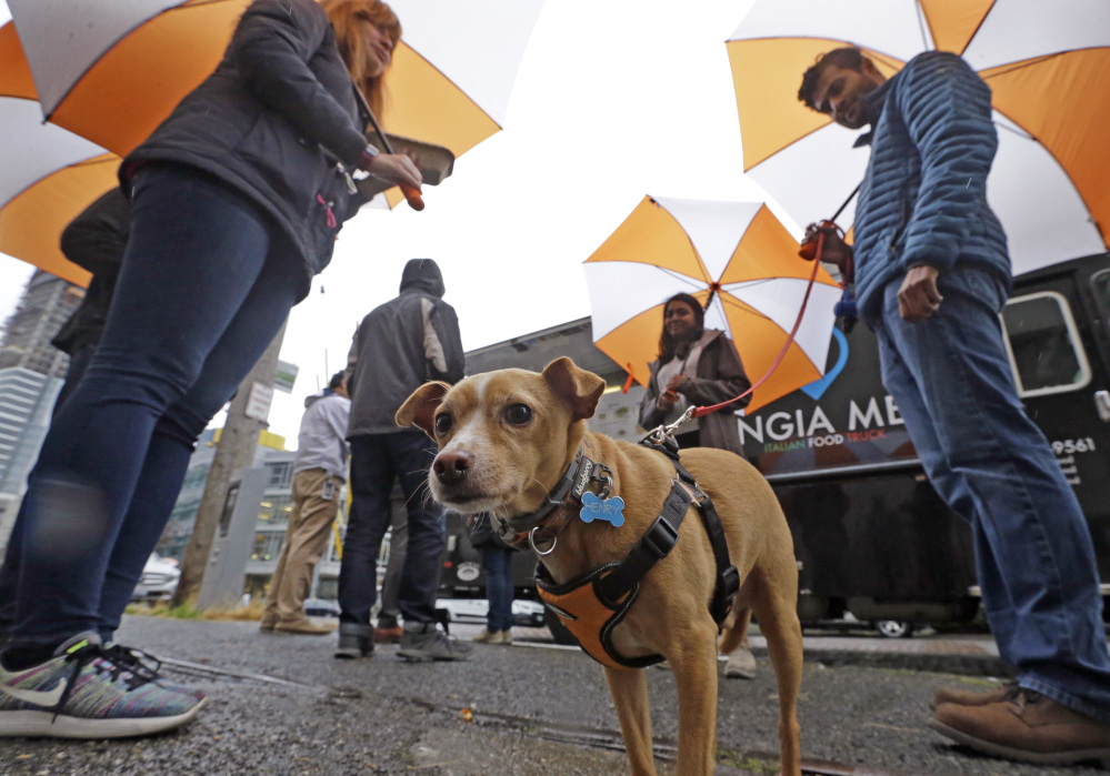 Amazon workers huddle under company-provided umbrellas as they wait for lunch. Memo to the many places vying for Amazon's second HQ: It isn't all food trucks and free bananas.