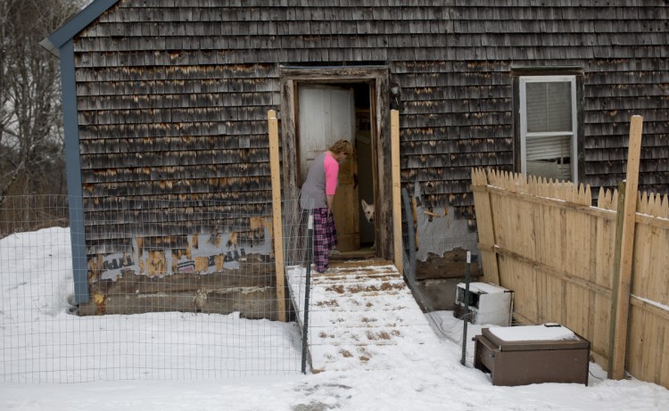 Anita McBride brings her dog Dudley out to the backyard at her mother's home in Gray. Last month, authorities executed a search warrant at the home after multiple people reported that dozens of animals were being held in unsanitary and unsafe conditions.