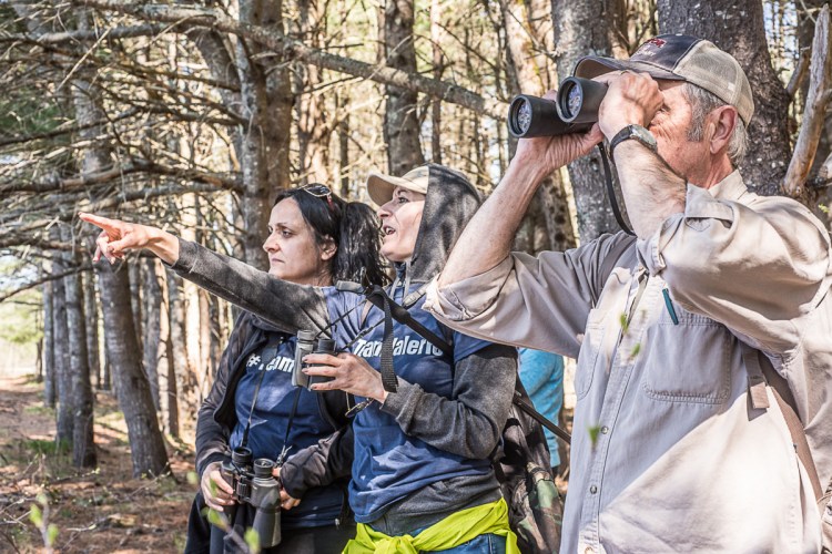 Helena Gagliano-McFarland, left, peers across the Androscoggin River in Topsham on Saturday with friends Marie Saladino and Derek Faile as they search for McFarland's 5-year-old son who fell into the Androscoggin River last week. Saladino flew to Maine from Switzerland to support Gagliano-McFarland as the search for her son continues. (Andree Kehn/Sun Journal)