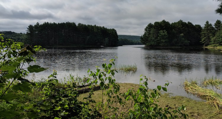 The view from the picnic meadow, which is about a mile from the northern entrance of the Androscoggin Riverlands State Park, is spectacular.