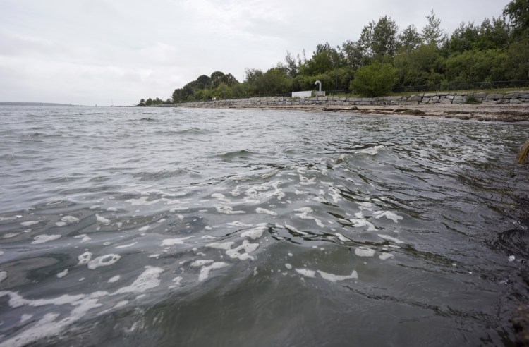 Don't fertilize your lawn just before a big rainstorm and that will help keep excessive nutrients out of the ocean, a young letter-writer says.