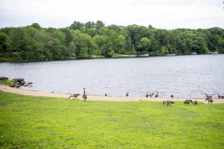 Oakland's Waterfront Park on Messalonskee Lake is open again, although the only visitors there late Saturday afternoon were the geese that have frequented the spot for years.