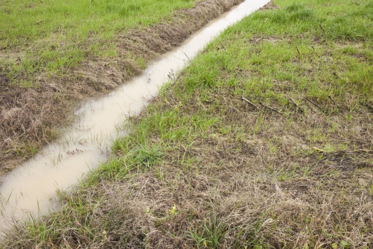 When is a backyard ditch like this one really a stream? When Maine environmental regulators decide that it's actually a "protected natural resource," says a reader who questions the state's authority to regulate the channels.