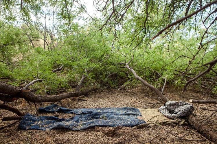 "Migrant artifacts. Sonora Desert, Arizona," Michael Wells, photograph, 2010-2013