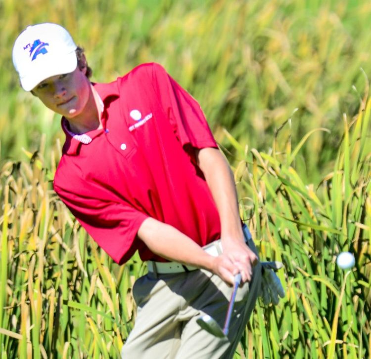 Mt. Ararat's Ben Hickson chips onto the 18th green Saturday during the team golf state championships at Natanis Golf Course.