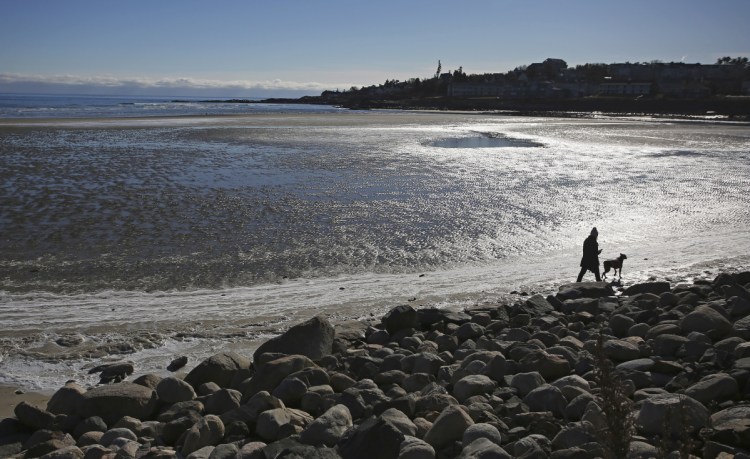 A charge of stalking against a former Ogunquit Select Board member comes in the midst of months of intense political turmoil in the smallest town in York County.